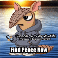 Wisdom Enlightenment GIF by Chillo Dillo