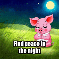 Mindfulness Acceptance GIF by The Pigasso