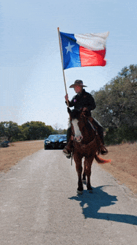 theexoticsnetwork horse texas ten helicopter GIF