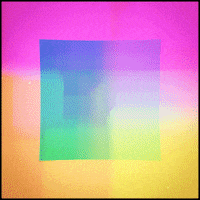 pink rainbow GIF by Erica Anderson