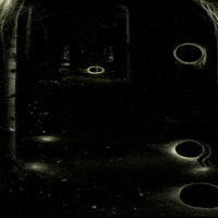 Bg Network GIF by Aleksey Efremov