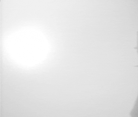 Showtime I Approve GIF by Tomorrow Television