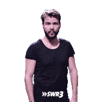 Fu Fuck You Sticker by SWR3