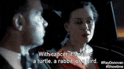 ray donovan GIF by Showtime