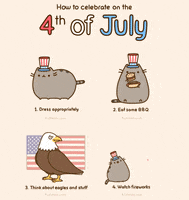 Independence Day Cat GIF by Pusheen
