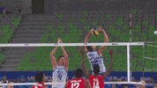Game Action GIF by Volleyball World