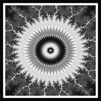 Loop Nft GIF by xponentialdesign