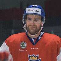 SKODACZ fun car hockey win GIF