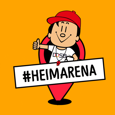 Germany Thumbs Up GIF by Team Deutschland