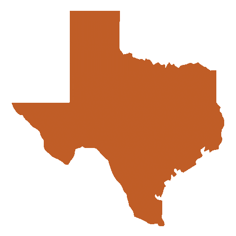 I Matched Ut Austin Sticker by Dell Medical School