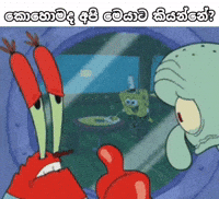 Sri Lanka Sl GIF