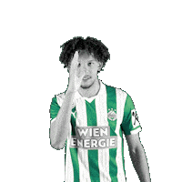 Fk Austria Celebration Sticker by SK Rapid