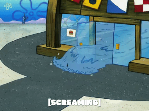 season 5 episode 6 GIF by SpongeBob SquarePants