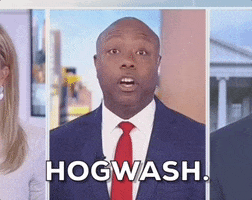 Scott Hogwash GIF by GIPHY News