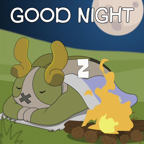Camping Good Night GIF by Aurory