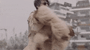 bugatticristian sergio bugo cristian bugatti GIF