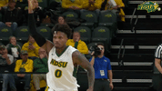 basketball bison GIF by NDSU Athletics