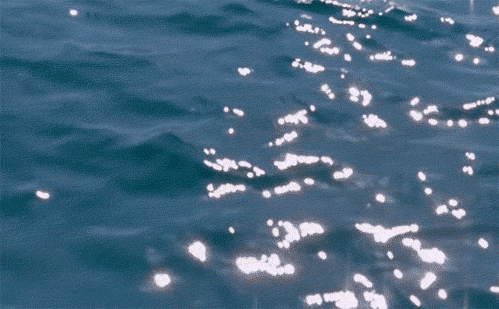 51. морской водой