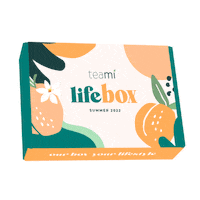 Wiggle Wiggle Sticker by Teami Blends