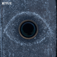 lemony snicket GIF by NETFLIX