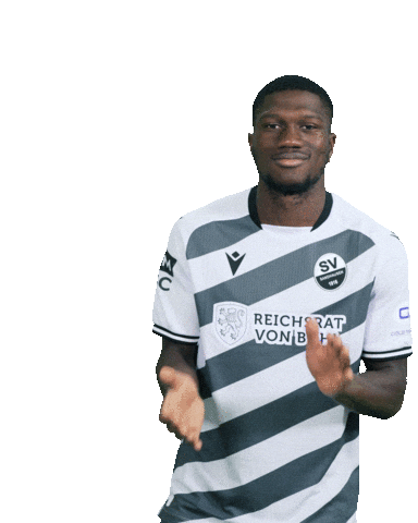 3Liga Sticker by SV Sandhausen
