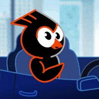 birdeye_so cool ok thumbs up bird GIF
