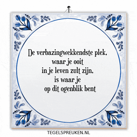 Moment Wijsheid GIF by Tegelspreuken.nl