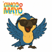 Cinco De Mayo Mexico GIF by Feraz NFT