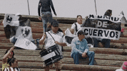 bien hecho club de cuervos GIF
