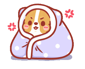 柯基犬卡卡 - 可愛實用篇 Sticker