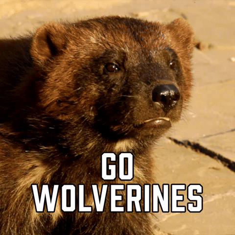 Go Wolverines