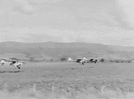 Vintage Plane GIF by US National Archives