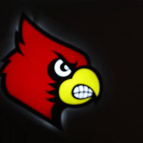 University Of Louisville GIF by Louisville Cardinals