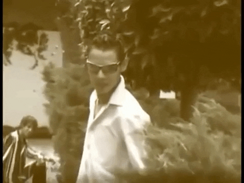alfarogalan giphygifmaker GIF