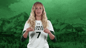 Volleyball GIF by Colorado State Rams