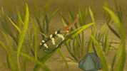 Helena___cyc nature chill wind bug GIF