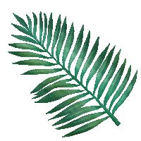 Plant Decor Sticker by Trakto
