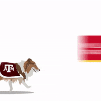 College Basketball Sportsmanias GIF by Wells Fargo