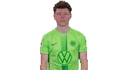 Fail Go Home Sticker by VfL Wolfsburg
