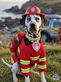Annie Dalmatian GIF