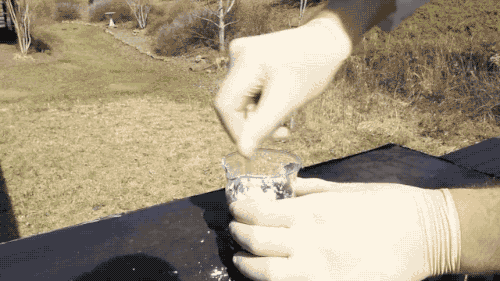 powdered sugar experiment GIF