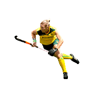 hockeyperformanceacademy princess field hockey hpa hockey performance academy Sticker