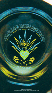 Serve Mexico City GIF by Milagro Tequila