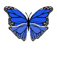 Butterfly Azul Sticker