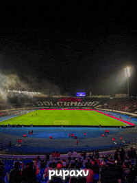 Morocco Wydad GIF