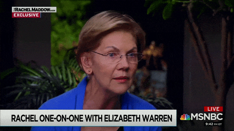 Senator Warren Shrug GIF by Elizabeth Warren