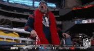 houston texans football GIF by NFL