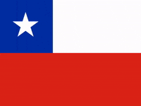 Viva Chile GIF