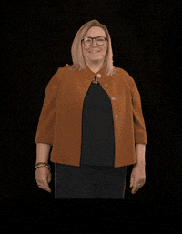 fdpfraktionlsa fdplsa fdpfraktionlsa ktarricone tarricone GIF