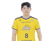 Kb스타즈 Sticker by KB STARS VOLLEYBALL CLUB